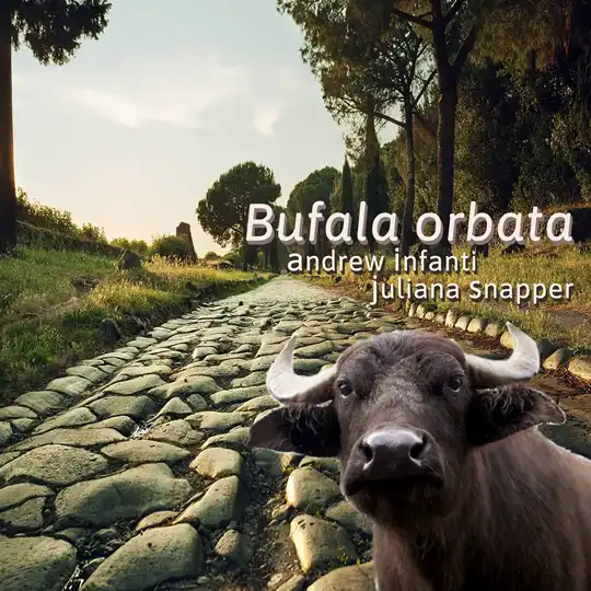 Affiche du projet “Bufala Orbata”