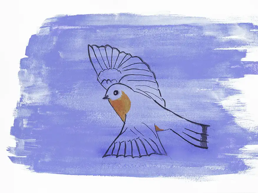 Merle bleu, © Sandrine Coppola 2025