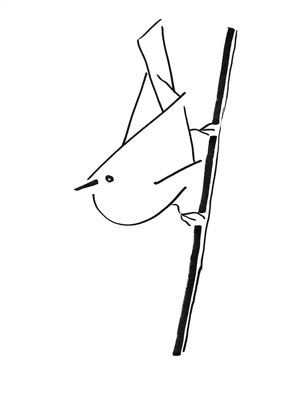 Reed warbler, © Sandrine Coppola 2025